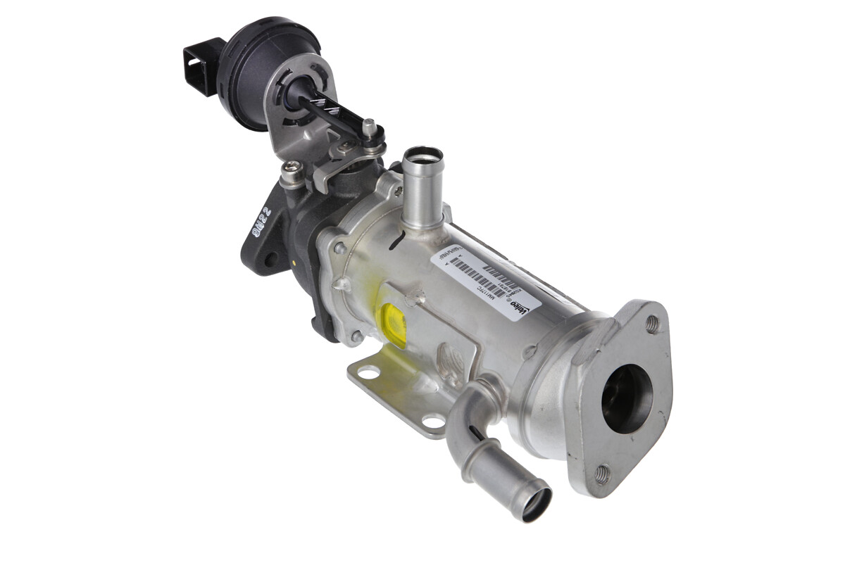 Radiatore, Ricircolo gas scarico - 818791 VALEO